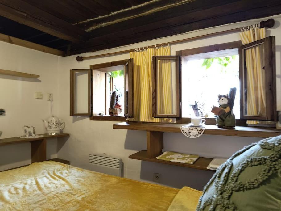 Chaloupka U Mostu Sv Jana V Centru Vodnan Vodňany エクステリア 写真