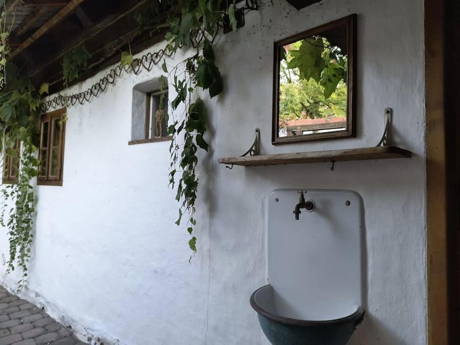 Chaloupka U Mostu Sv Jana V Centru Vodnan Vodňany エクステリア 写真